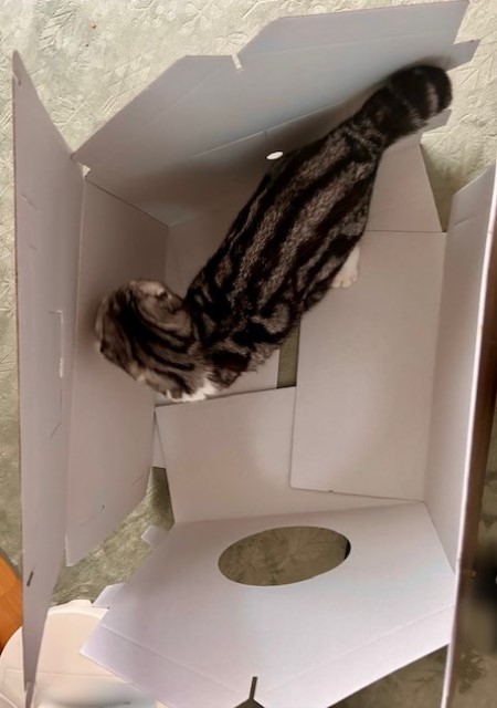 thumbnail_IMG_8361 (1)