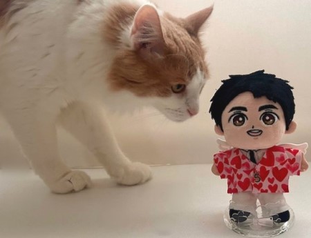 こひろみくん（郷ひろみさんのぬいぐるみ）の服作り② : 猫だらけ