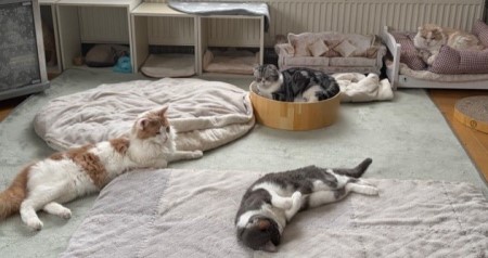 ef99caf4-de6b-4420-b9b2-82bef86dbca4