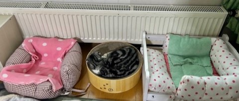 thumbnail_IMG_3456 (1)