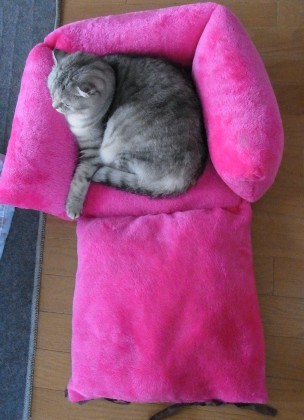 「猫だらけ」