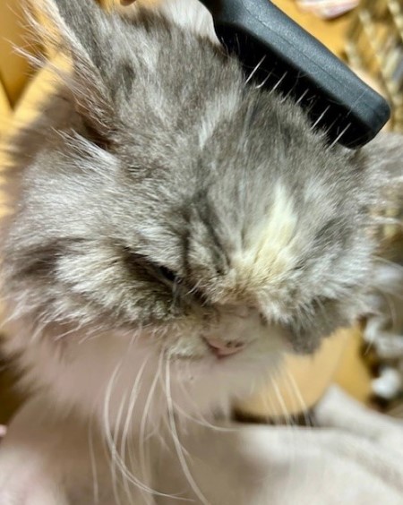 9b1aac6c-462b-43a6-97c0-b1e54fcfb259