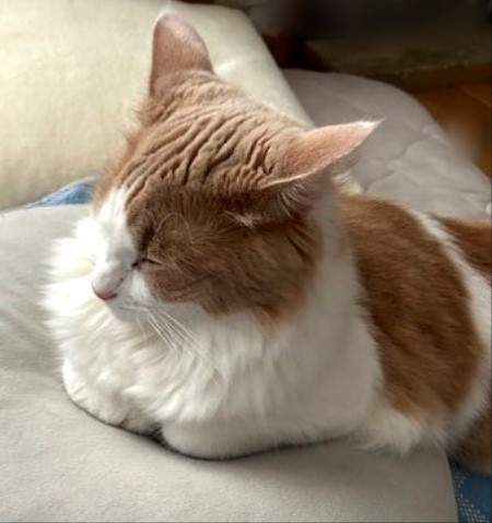 thumbnail_IMG_4144 (2)