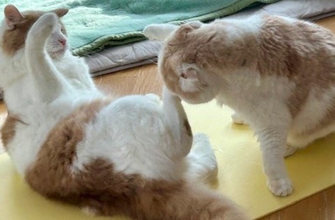 thumbnail_IMG_0408 (1)