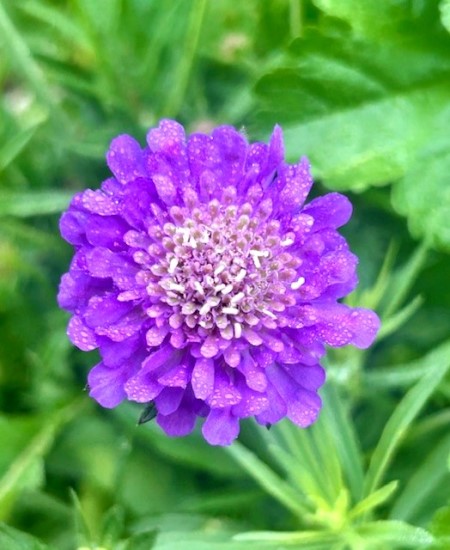 thumbnail_IMG_7936