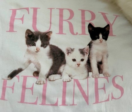 thumbnail_IMG_6713 (2)