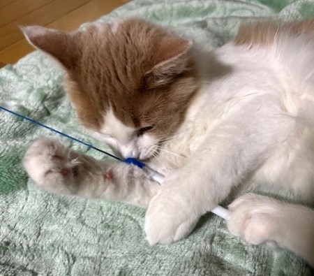 thumbnail_IMG_7472 (1)