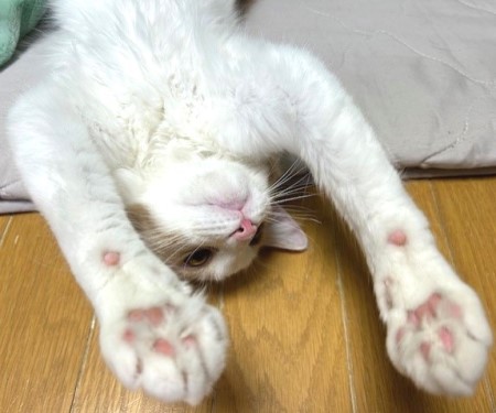 thumbnail_IMG_5269