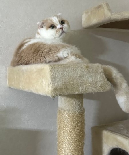 thumbnail_IMG_7178 (1)