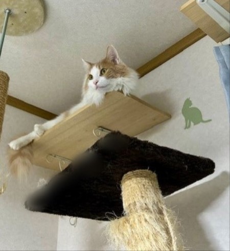 thumbnail_IMG_5864 (1)