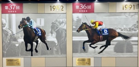 thumbnail_IMG_6574 (2)