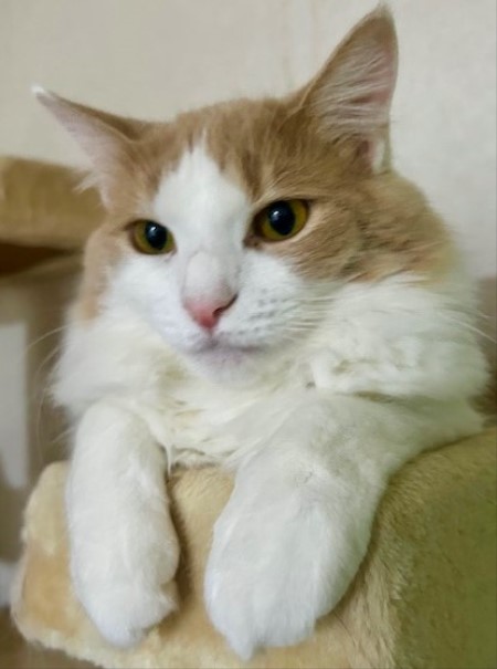 thumbnail_IMG_0283 (3)