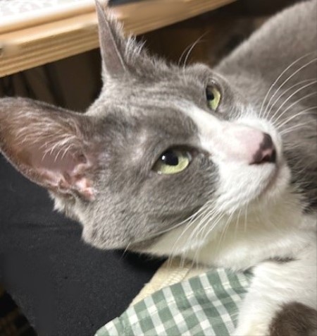 thumbnail_IMG_3748 (1)