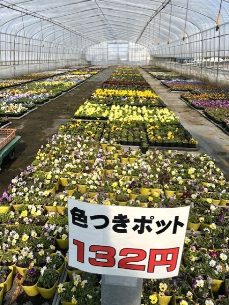 thumbnail_IMG_4159