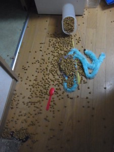 「猫だらけ」