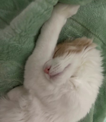 thumbnail_IMG_4734 (1)