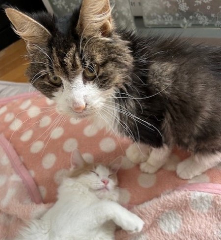 thumbnail_IMG_5114 (1)