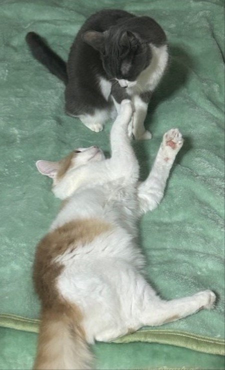 thumbnail_IMG_3135 (1)