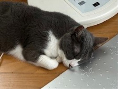 thumbnail_IMG_4176 (1)