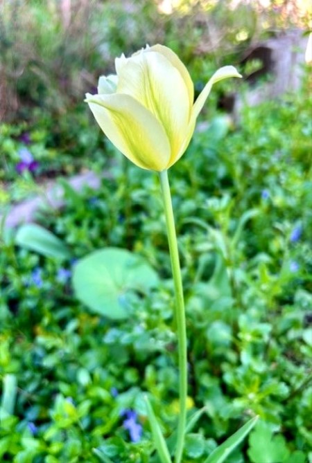 thumbnail_IMG_6128 (2)