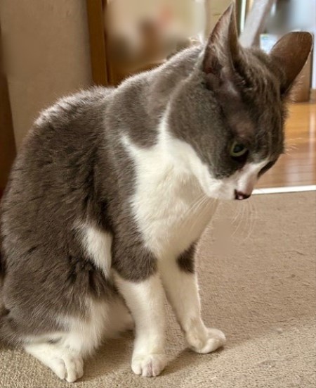 thumbnail_IMG_3570 (3)