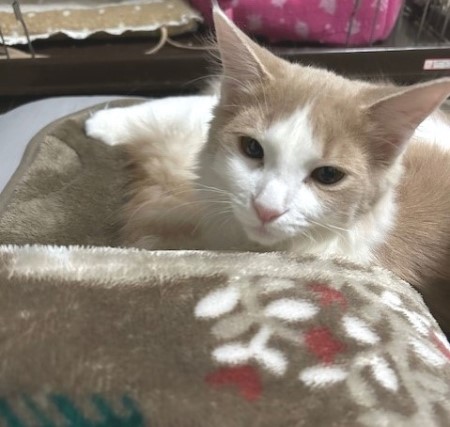 thumbnail_IMG_5697 (1)