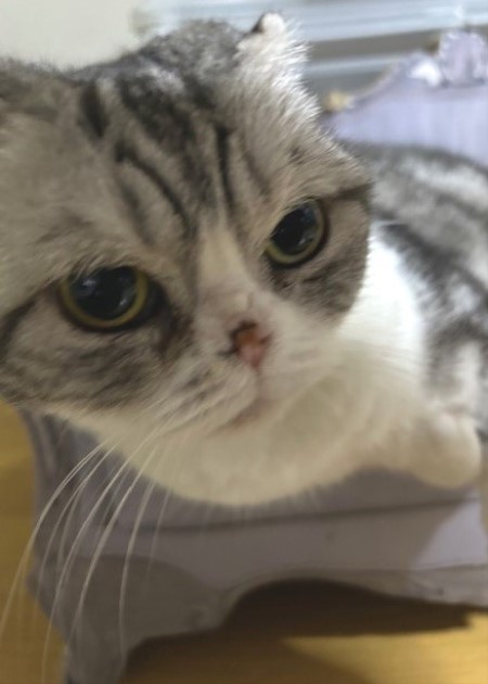 thumbnail_IMG_5074 (1)