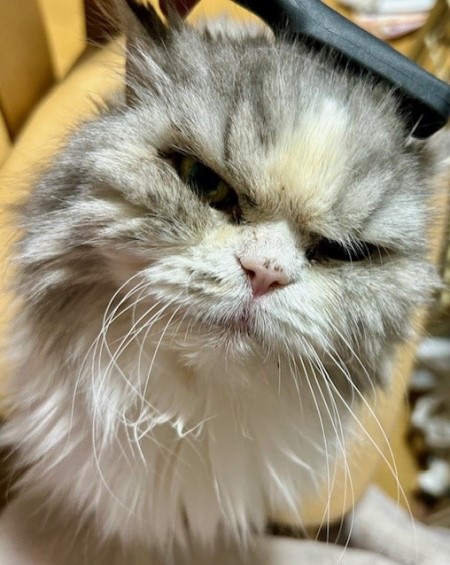 721cff9e-d144-4286-b6c8-01c60cce1a4b