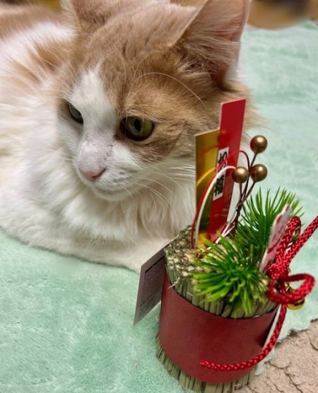 thumbnail_IMG_6047 (2)