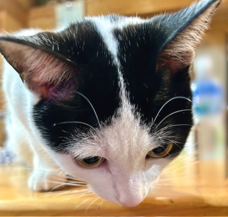 0a04160e-cf7c-453b-98f8-bc309a98c9a9