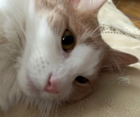 thumbnail_IMG_2224 (1)