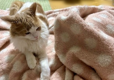 thumbnail_IMG_6190 (1)