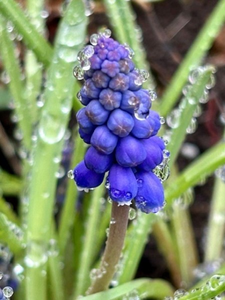 thumbnail_IMG_4674 (2)