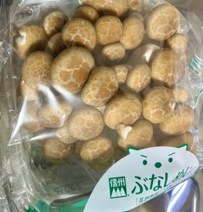 ca6d4223-b770-41a5-93c0-9a36691426c1