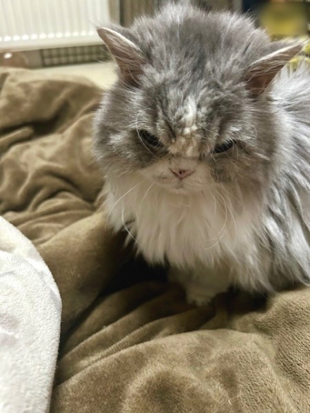 thumbnail_IMG_5158 (1)