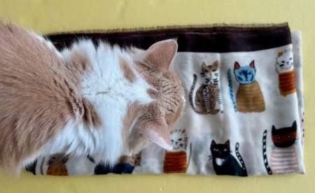 thumbnail_IMG_4120 (1)