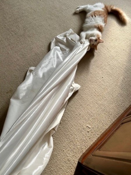 thumbnail_IMG_4403 (1)