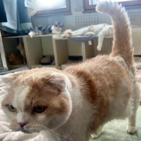 8c8392e3-5d2a-4077-8ed3-5d9831624843_1_1