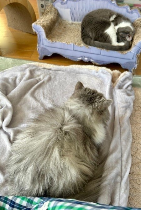 e293e387-c155-49a1-a4d1-558ba54c4d29