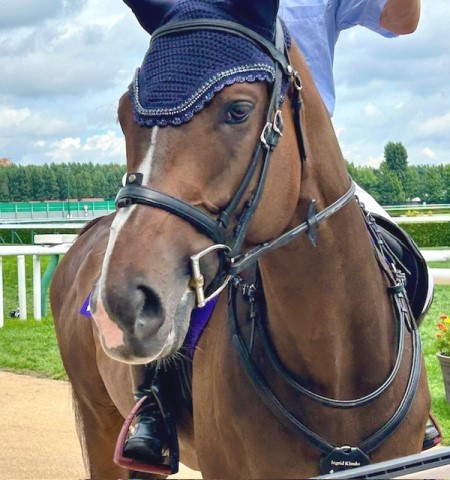 thumbnail_IMG_1514 (2)