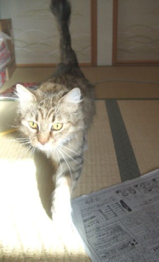 2008_02030001