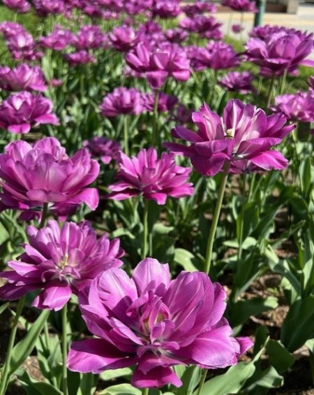 thumbnail_IMG_0112