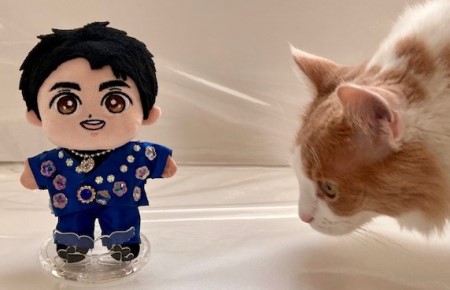 thumbnail_IMG_3207 (1)