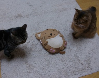 「猫だらけ」