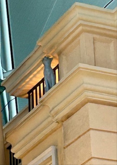 45001807-2748-49aa-ba54-862e69dfcdee