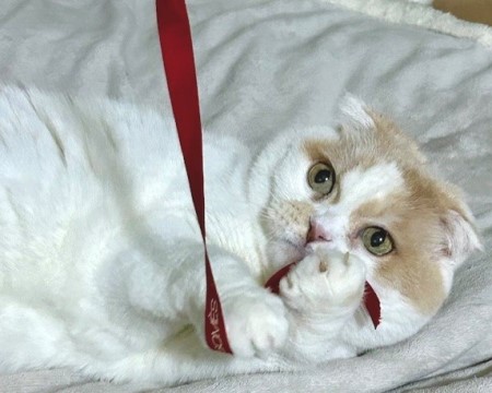 thumbnail_IMG_1435 (3)