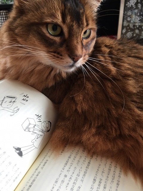 {F64FD9AE-4C6A-4493-A19E-3D3E6305A382}