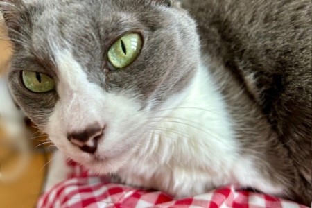 thumbnail_IMG_8472 (1)