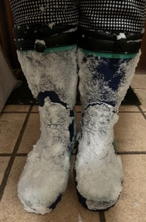 c27b04c5-3c4b-4b30-95df-22aa8ce7ca20