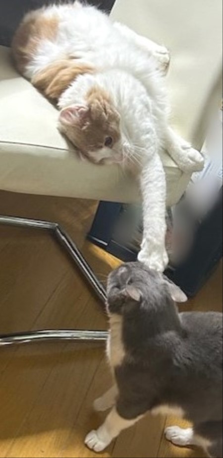 thumbnail_IMG_3776 (2)